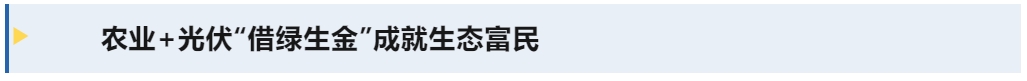 標題3.png